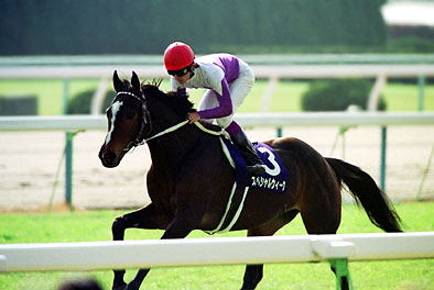 競馬 レース】1999年レーシングプログラム18冊セット