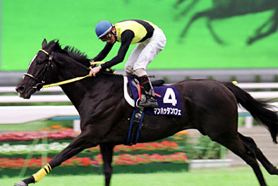 マンハッタンカフェ天皇賞・春