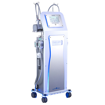 Kirei ショップ / CAVI-LIPO DEX-V