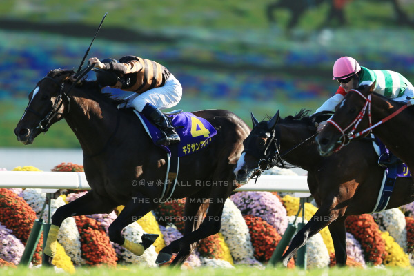 第76回菊花賞 北村宏司騎乗・キタサンブラック優勝 – The 岡田修平