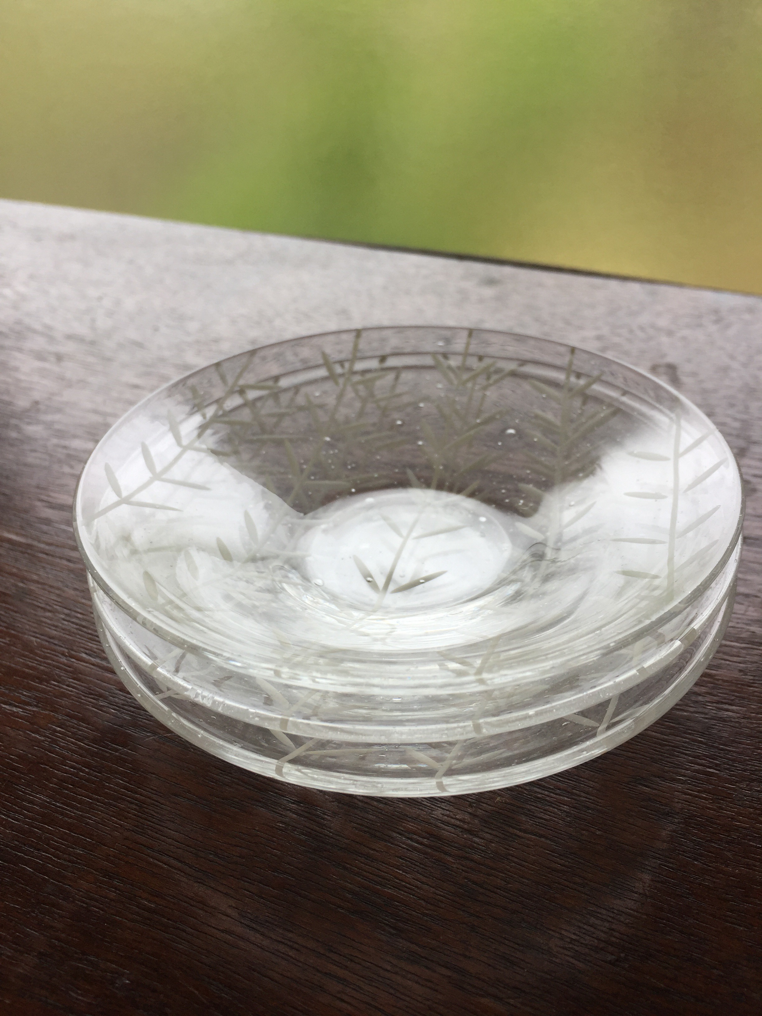 金津沙矢香 硝子制作 | sayaka kanazu blog