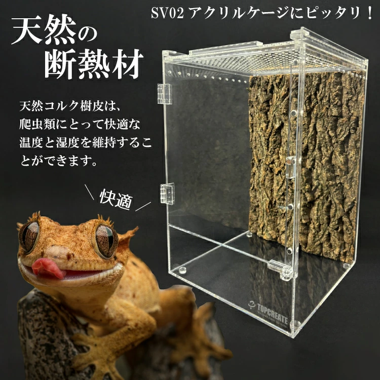 トップクリエイトコーポレートサイト