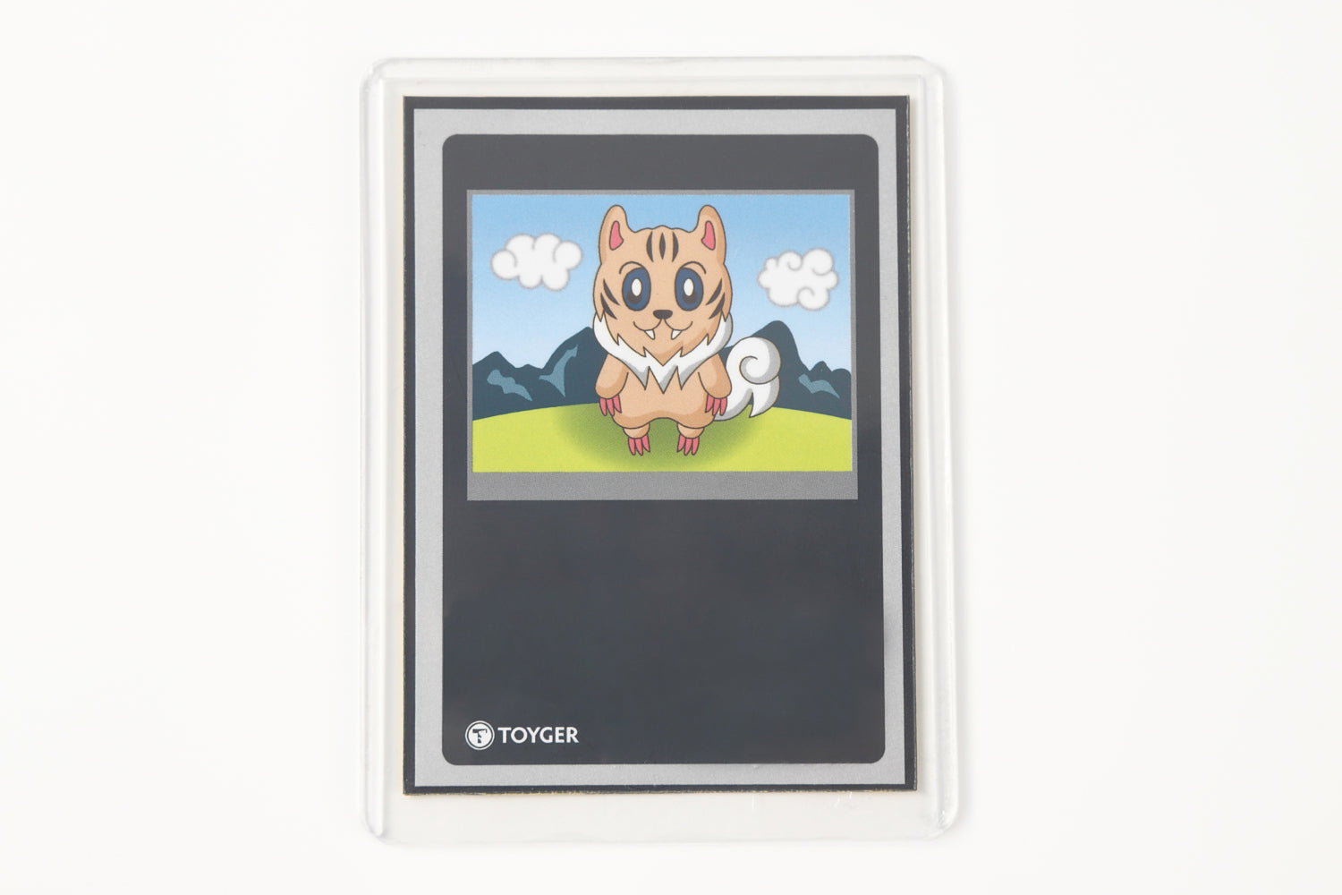 カードローダー各種 (スタンダードサイズ) – TOYGER公式ショップ