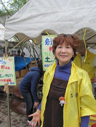 益子焼 堀越美紀作 自然釉 秋桜文 長皿 共箱 N 8681D 益子焼堀越美紀作