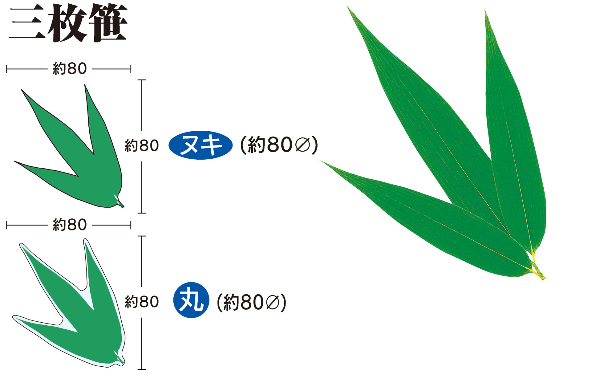 三枚笹 - ユニバース株式会社