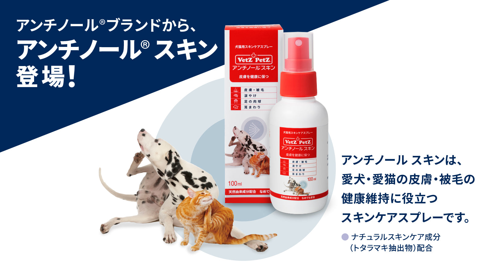 Vetz Petz アンチノール 90粒(アンチノールスキンつき)