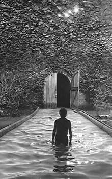 ジェリーユルズマン JERRY UELSMANN 1987年の作品 ジェリーユルズマン