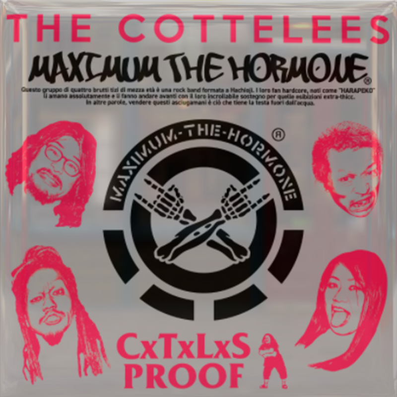 PROOF GALLERY｜マキシマム ザ ホルモン Official Site