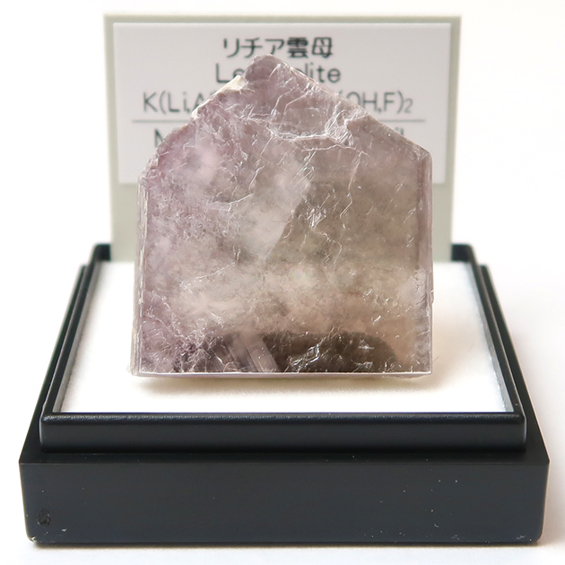 ミニ鉱物標本－6－｜化石販売・鉱物販売の東京サイエンス