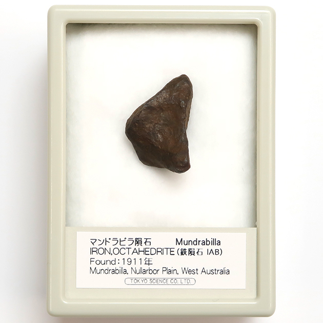 マンドラビラ隕石 鉄隕石 エッチング済 鑑賞ケース入り No.378 【公式