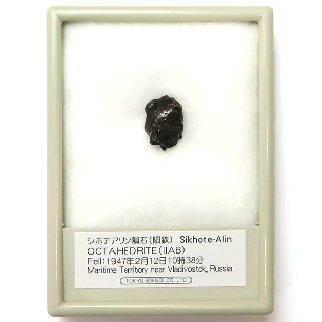 隕鉄｜化石販売・鉱物販売の東京サイエンス
