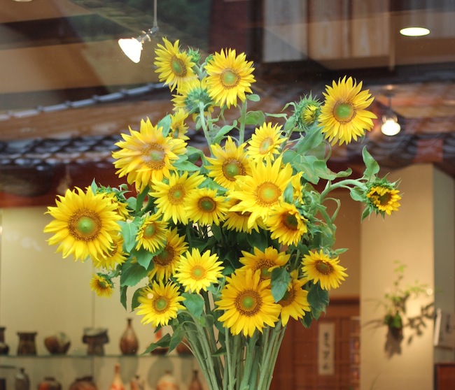 今日の花＊ひまわり | 備前焼窯元 小西陶古