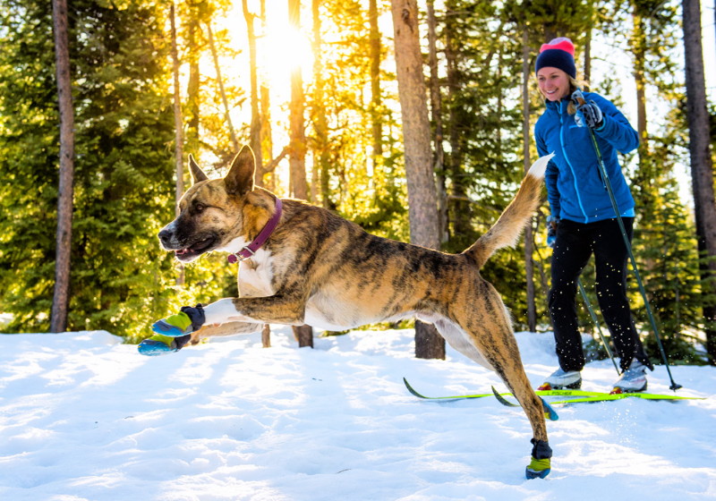 ポーラトレックス 犬の靴 犬用ブーツ ソックス 【ラフウェア RuffWear】
