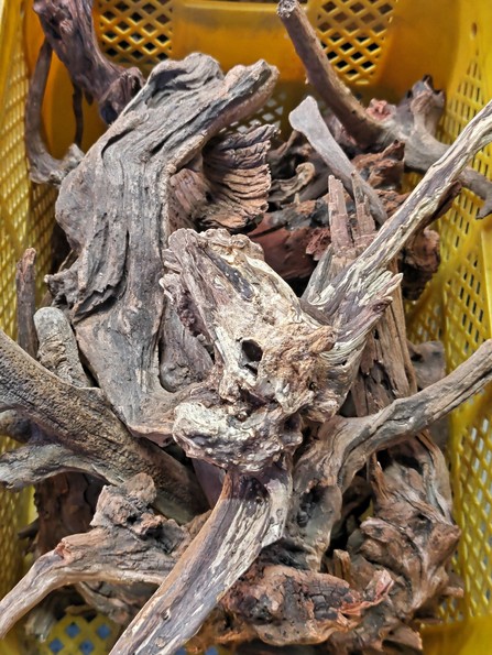 天然流木 【アクアフィールド】熱帯魚・水草の通信販売｜商品詳細