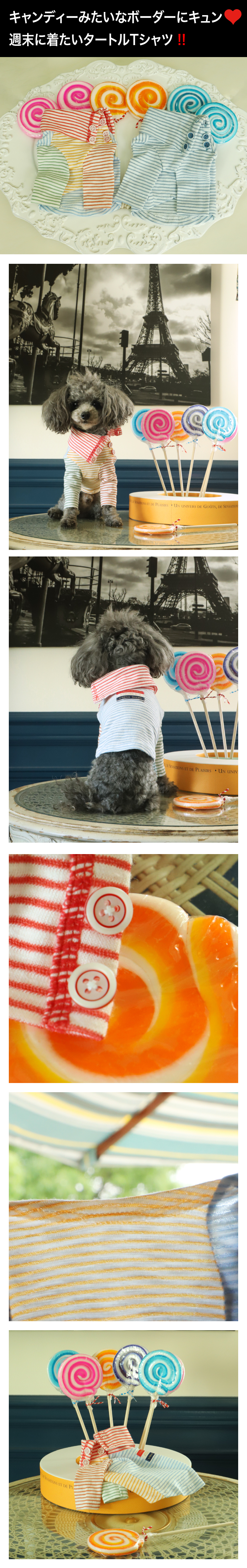 GG MADE IN TOKYO.』『GG+KIITI』『GG DENIM LINE』『Chocolat de