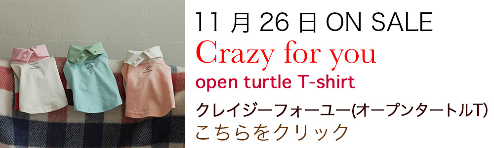 アトリエGG atelier gg ショコラデバニラシャツブラウス