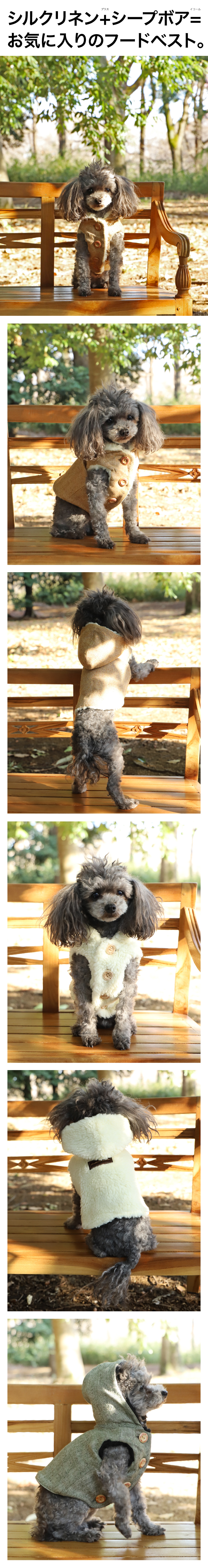 GG MADE IN TOKYO.』『GG+KIITI』『GG DENIM LINE』『Chocolat de