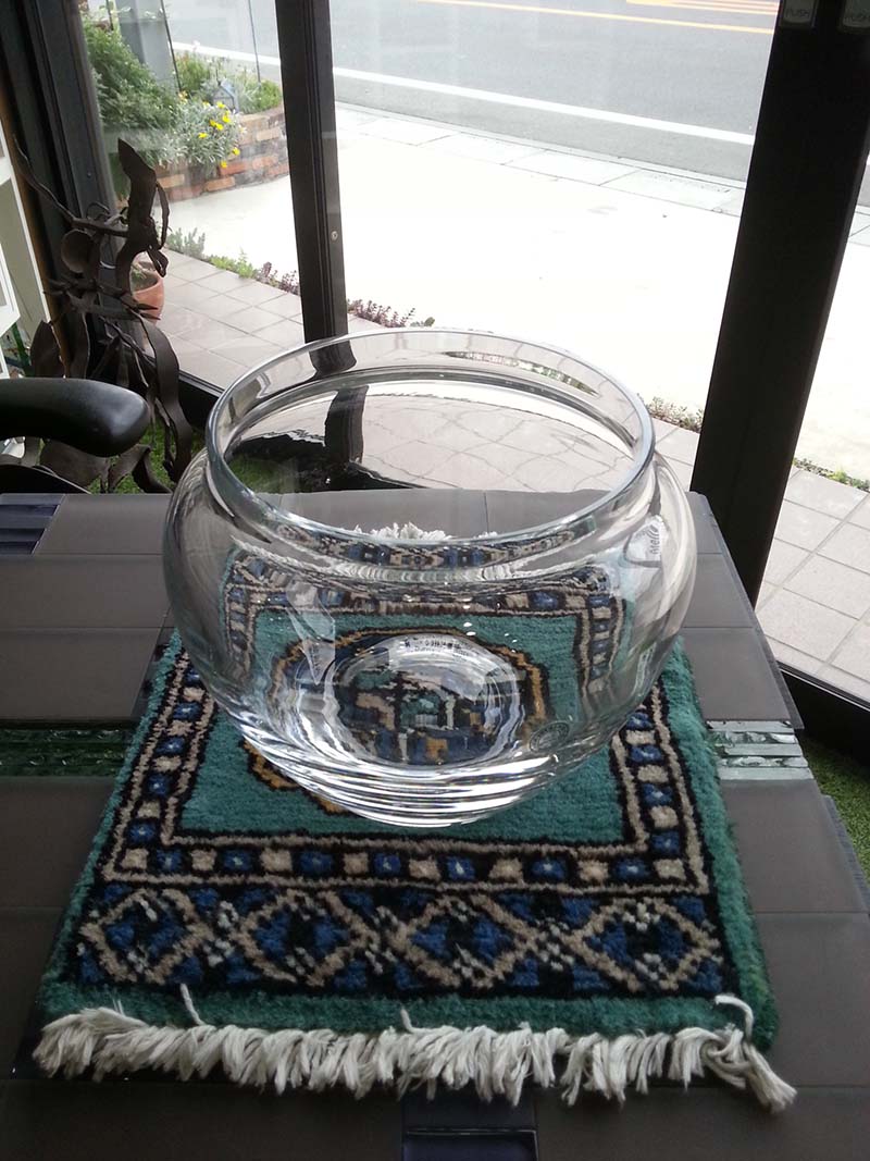 ガラスの壺にはガラスの蓋 – Vis-à-Vis & Maya's Blog