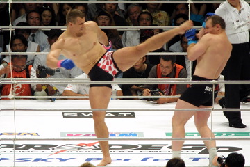 PRIDE オープンフィンガーレプリカ ドンフライ 桜庭和志ミルコ