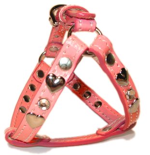 犬の首輪,ハーネス