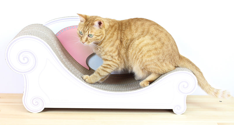 猫の爪とぎはどうやって選ぶ？カリカリーナの商品をタイプ別に紹介し