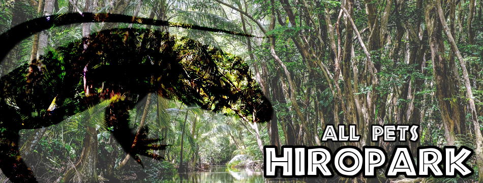 爬虫類専用卵床材 Hatch Rite ハッチライト