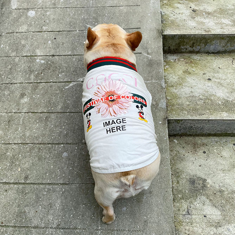 G-G ストライプ犬服 C'est si bon.