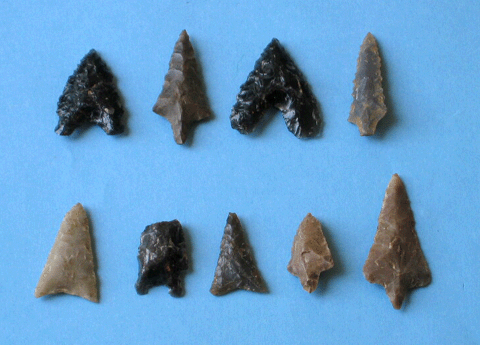 石鏃（西広貝塚）／市原歴史博物館