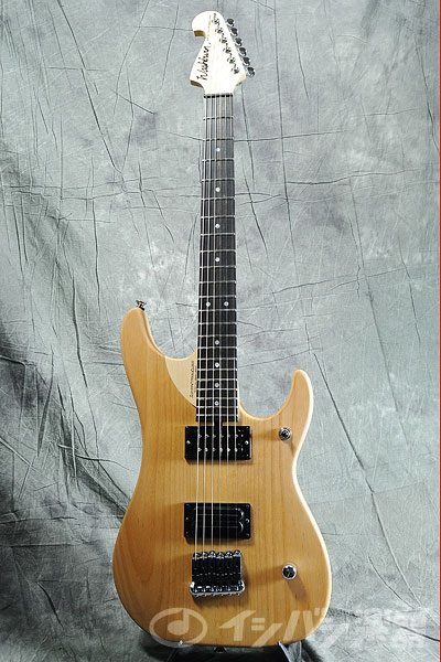 ハウバー ブラインド ブレイル ギター ハウバー ブラインド ブレイル