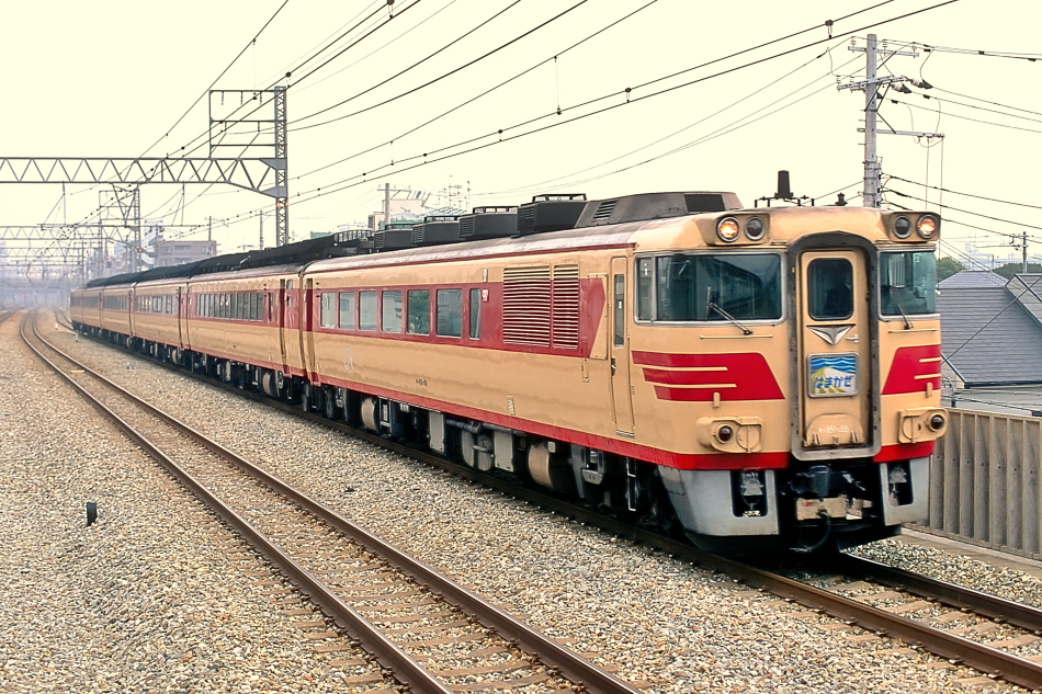 方向幕 キハ181系 JR西日本 特急 はまかぜ はくと あさしお 1本もの