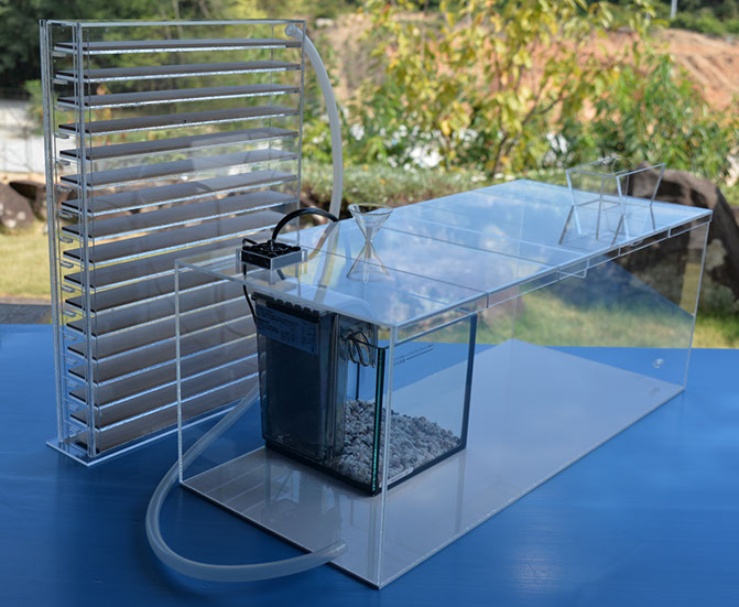 アリの人工巣 アンテシェルフ 【公式通販】