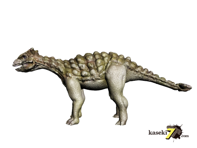 超希少！ ノドサウルスの装甲板とアンキロサウルスの装甲板 超希少