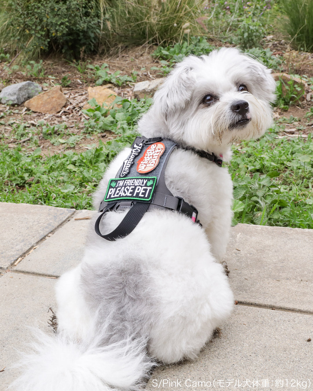 M1ハーネス – KILONINER ONLINESHOP