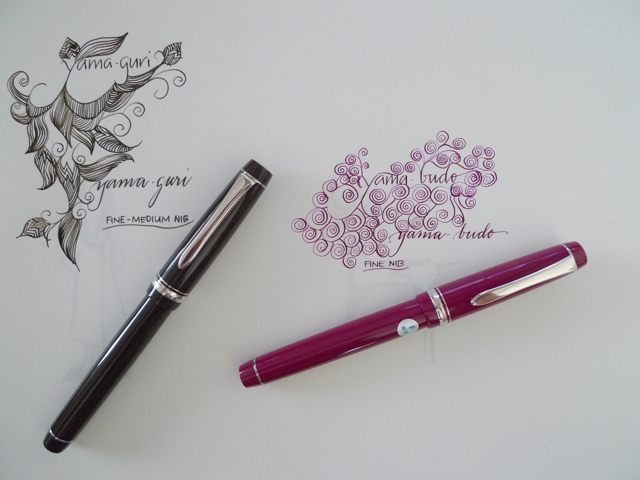 Pilot Custom Heritage 91. – Leigh Reyes. My Life As a Verb.