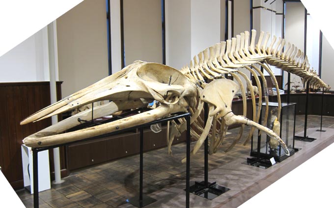 海洋辞典Ocean Dictionary, 一枚の特選フォト「海 ＆ 船」Photo