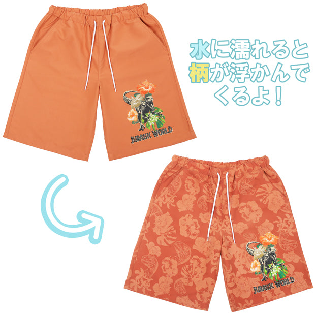 USJ 限定 キッズ Tシャツ ハーフパンツ セット 110サイズ USJ 限定