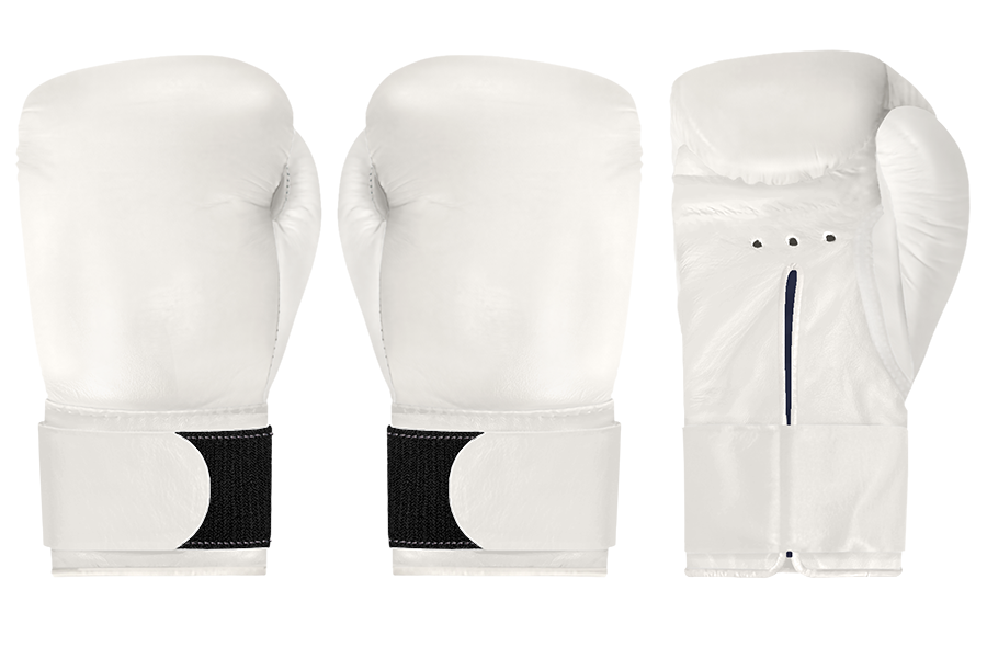 Winning ウイニング ボクシンググローブ MS300B 10オンス 白