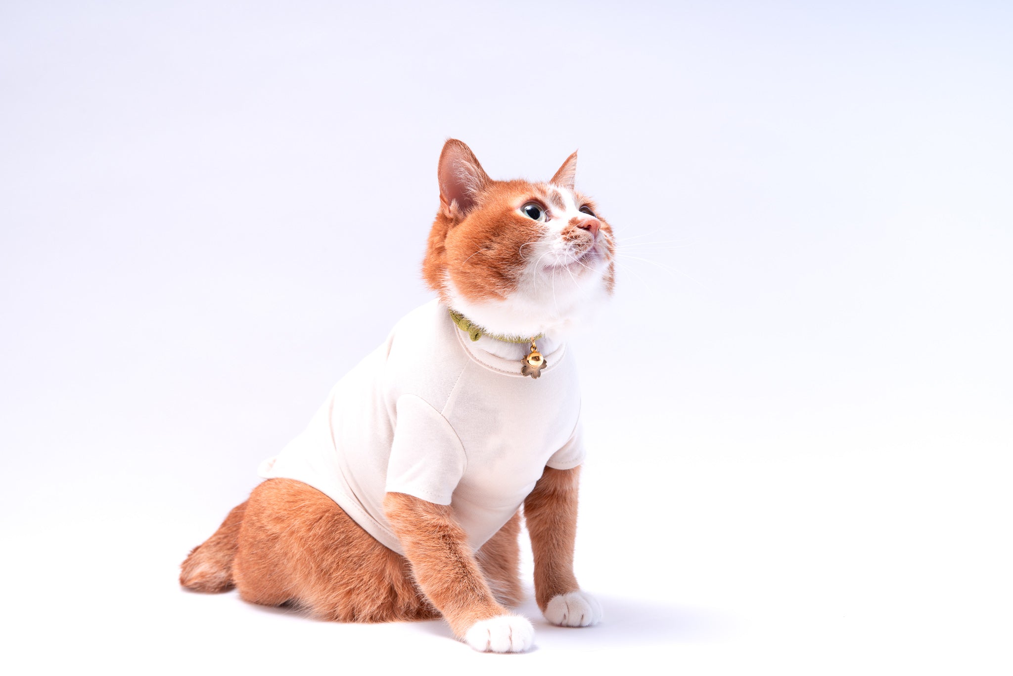 和風つまみ細工付き(赤②)わんちゃん猫ちゃん用襟つき首輪