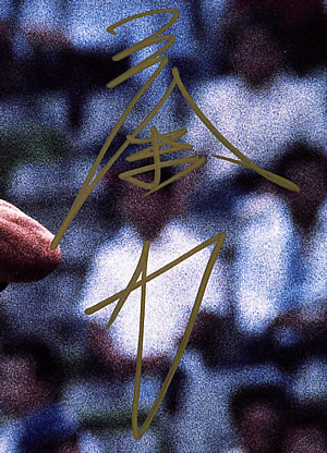 ど*ゃ様 ROIROM 直筆サイン入りフォトフレーム ど*ゃ様 ROIROM 直筆