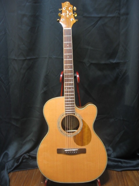 GREG BENNETT design SAMICHエレアコ(OM-15CE) Greg Bennett by Samick