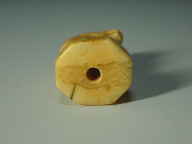 第21回 ウニコールとセイウチの見分け方