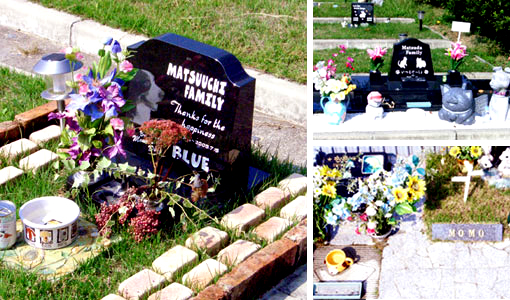 ペットの墓地・墓石について｜大阪のワールドペット霊園