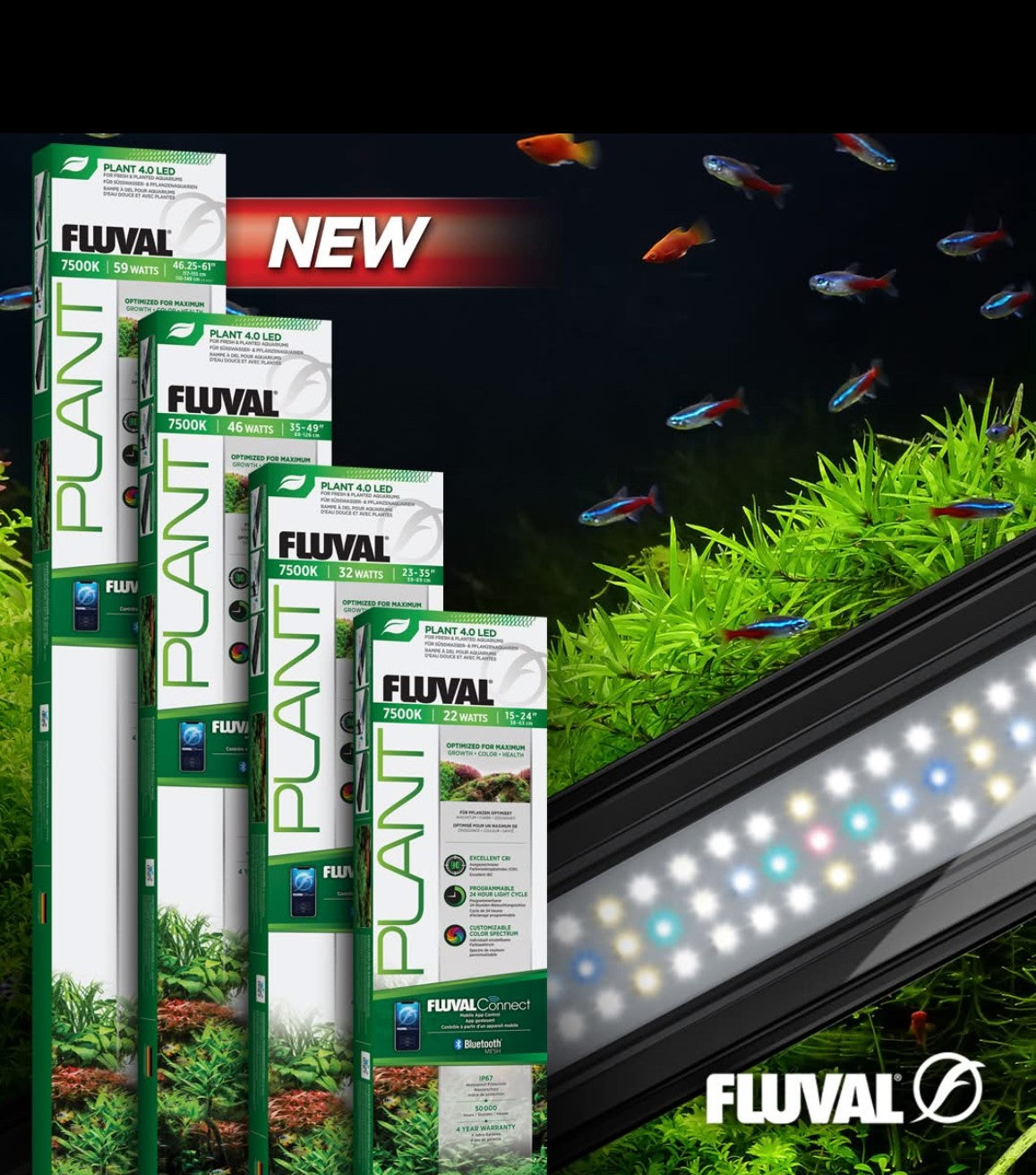 Buy Fluval Plant 4.0 LED for Fresh & Planted Aquariums Online