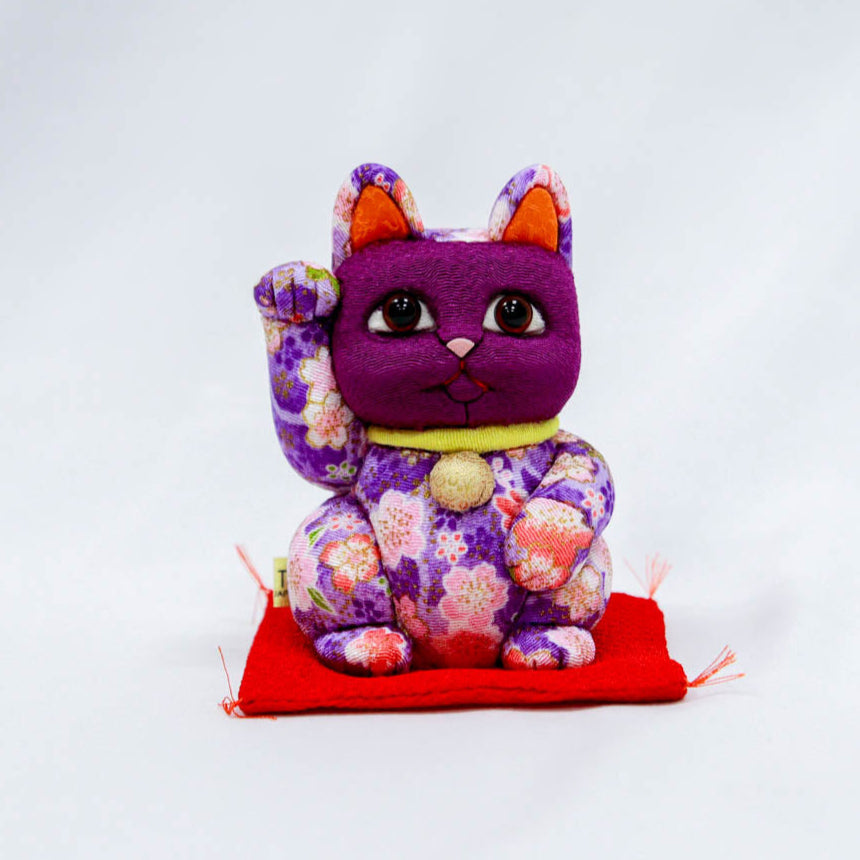 パープル猫様 パープル猫 パープル猫 パープル猫 パープル猫様 楽天