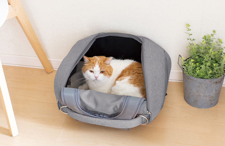 美品】キャリー 犬猫 お出かけ キャリーリュック inside dog cat 美品