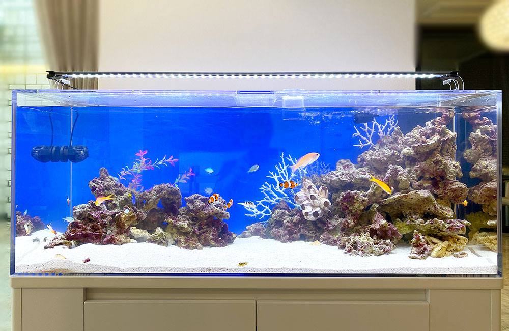 120水槽セット＋海水魚