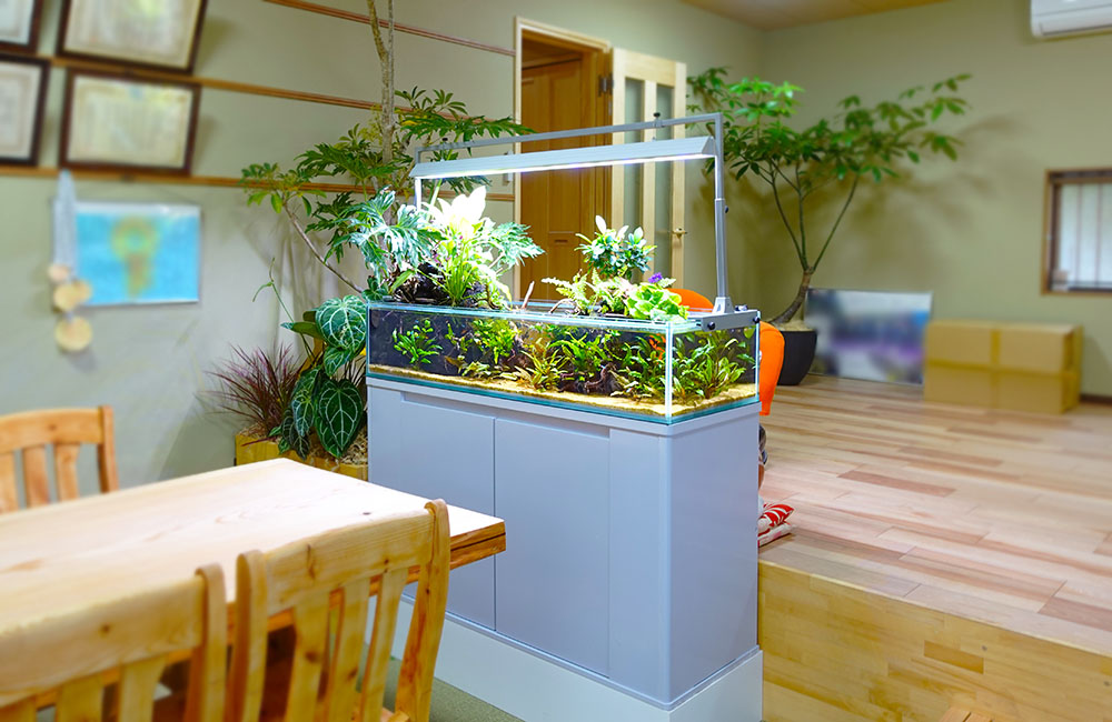 企業様の150cm大型アクアテラリウム水槽！その後の様子｜東京アクア