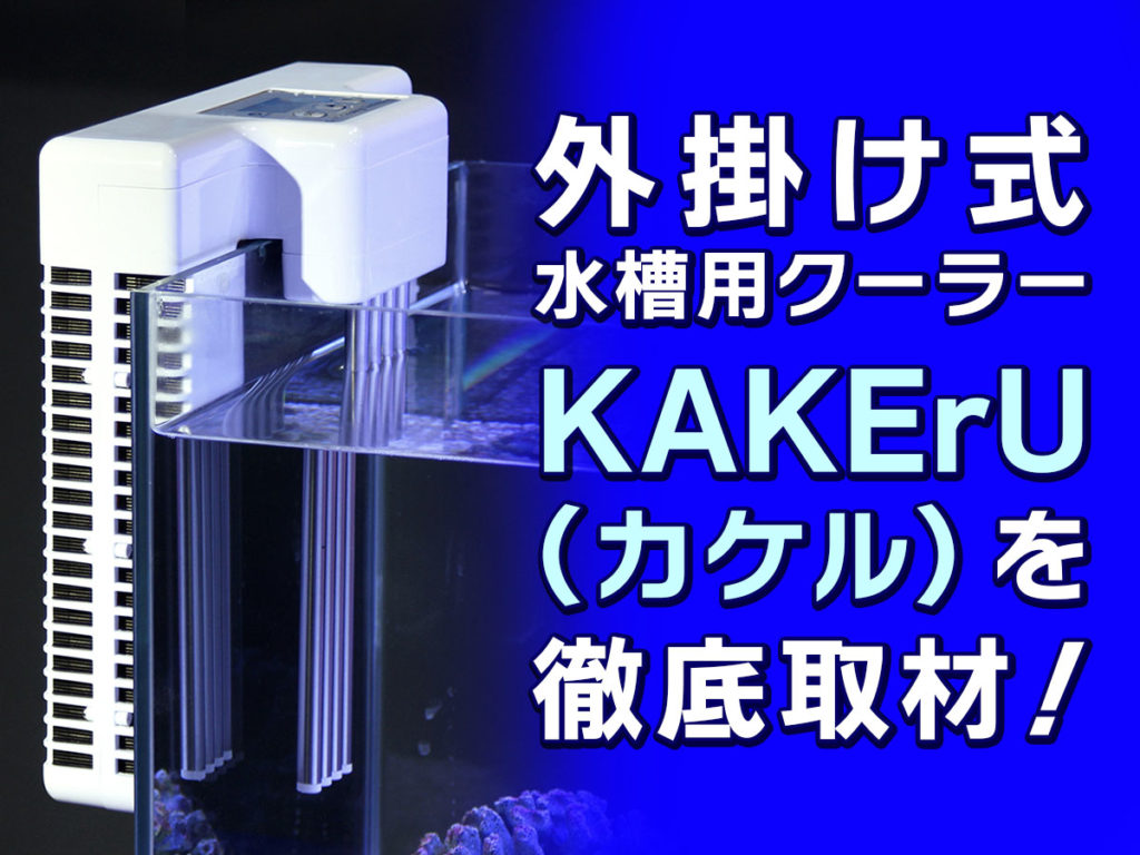 KAKErU（カケル）とは！水槽の外掛け式クーラーをゼンスイに取材｜東京