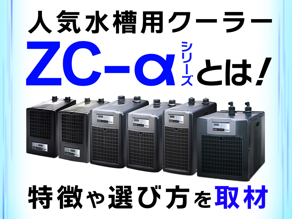 ZENSUI ゼンスイ クーラー ZC-1000 【公式通販】