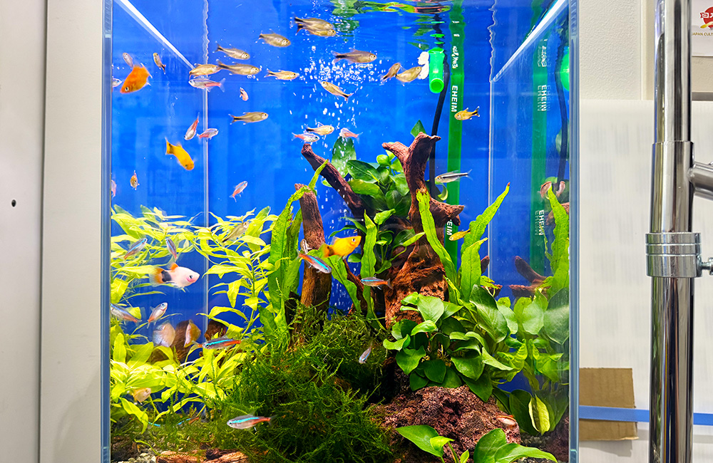 大型プラスチック水槽 青 大型アクリル水槽 黒・青1200×600×450 1200×